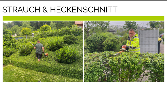 STRAUCH & HECKENSCHNITT