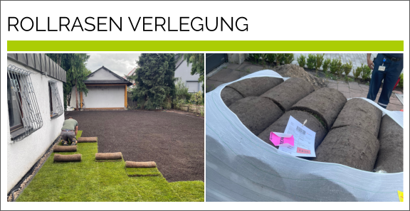 ROLLRASEN VERLEGUNG