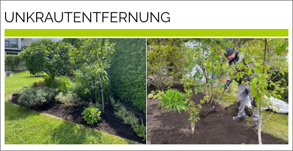 UNKRAUTENTFERNUNG