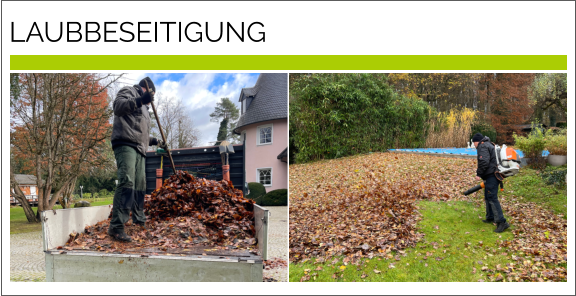 LAUBBESEITIGUNG