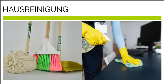 HAUSREINIGUNG