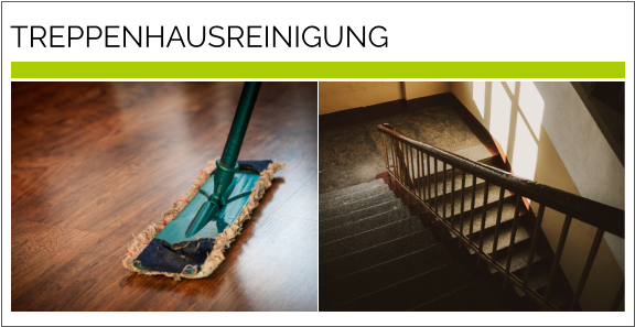 TREPPENHAUSREINIGUNG